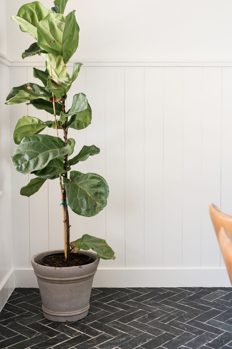 last_house_on_the_blanco33